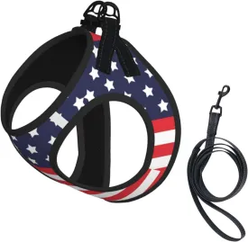 American Star Flag No Pull Dog Harness and Leash Set, Reflective Vest for Small Dogs, Adjustable Breathable Cute Classic Mesh Puppy Harness for Walking Hiking,Medium