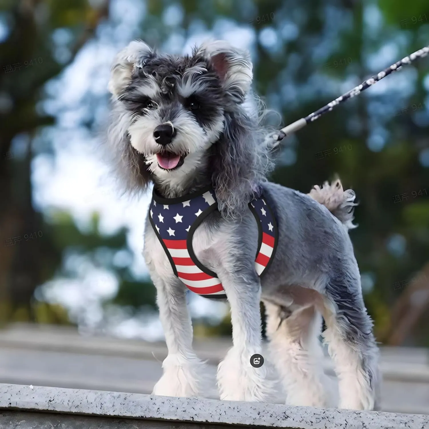 American Star Flag No Pull Dog Harness and Leash Set, Reflective Vest for Small Dogs, Adjustable Breathable Cute Classic Mesh Puppy Harness for Walking Hiking,Medium