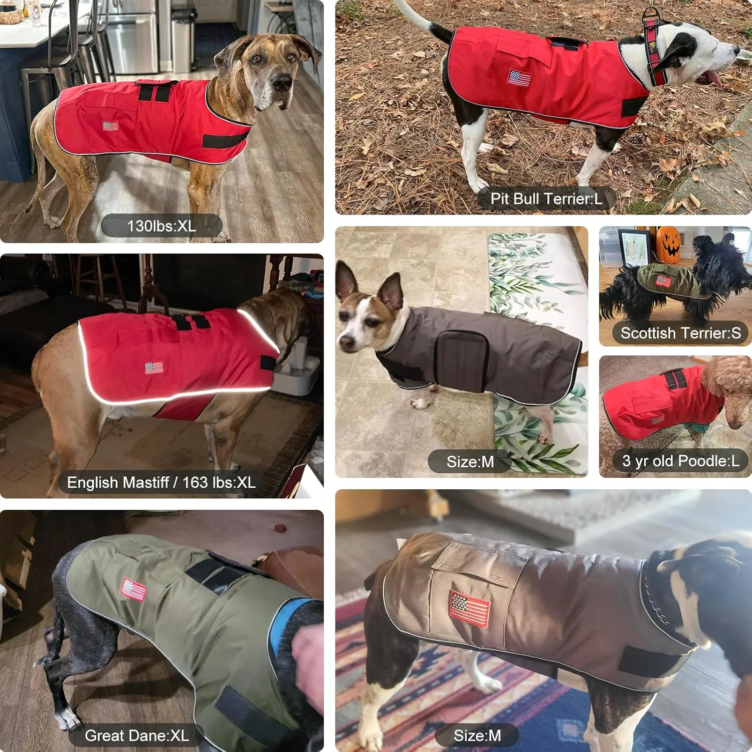 BEAUTYZOO Reflective Dog Winter Coat - Waterproof Windproof Jacket with Fleece Lining for Small to Large Dogs, Including Great Danes