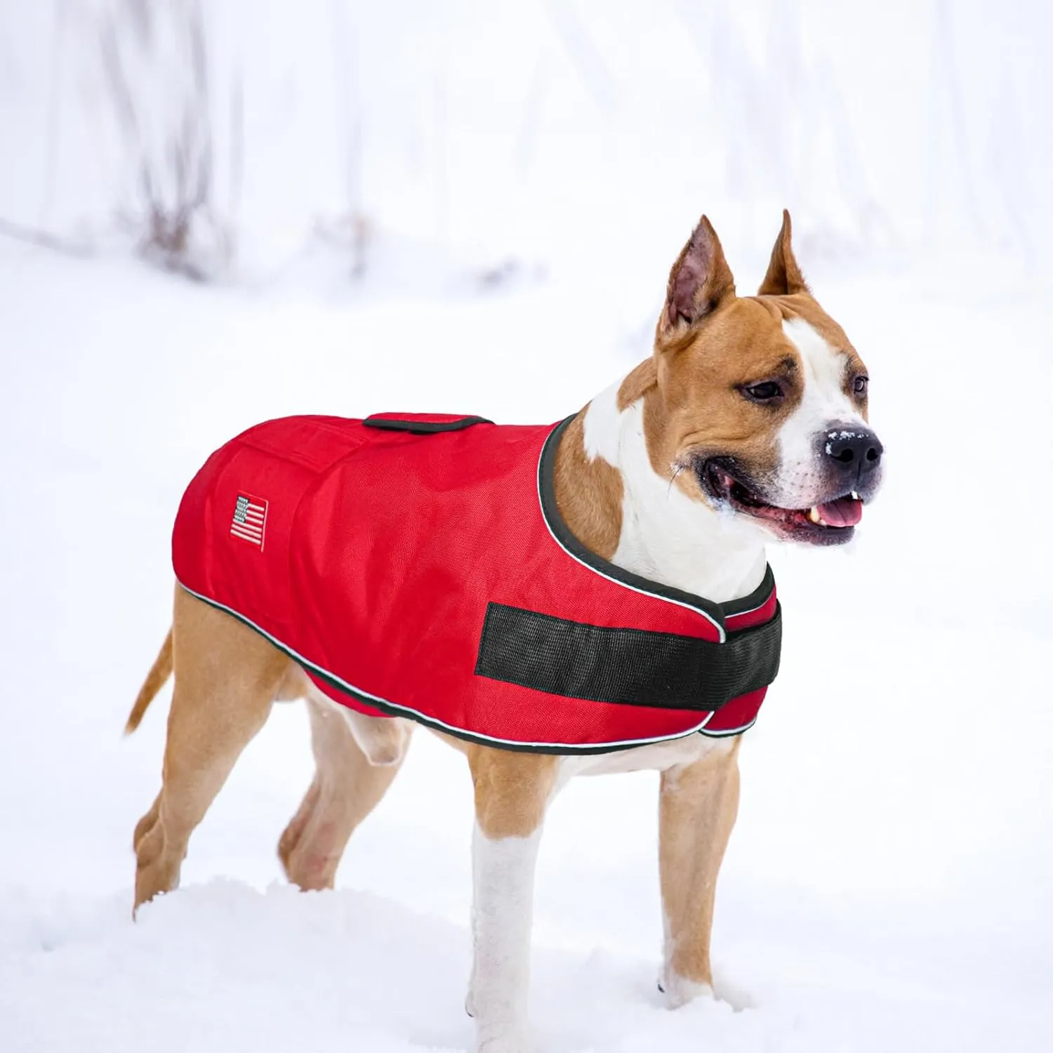 BEAUTYZOO Reflective Dog Winter Coat - Waterproof Windproof Jacket with Fleece Lining for Small to Large Dogs, Including Great Danes
