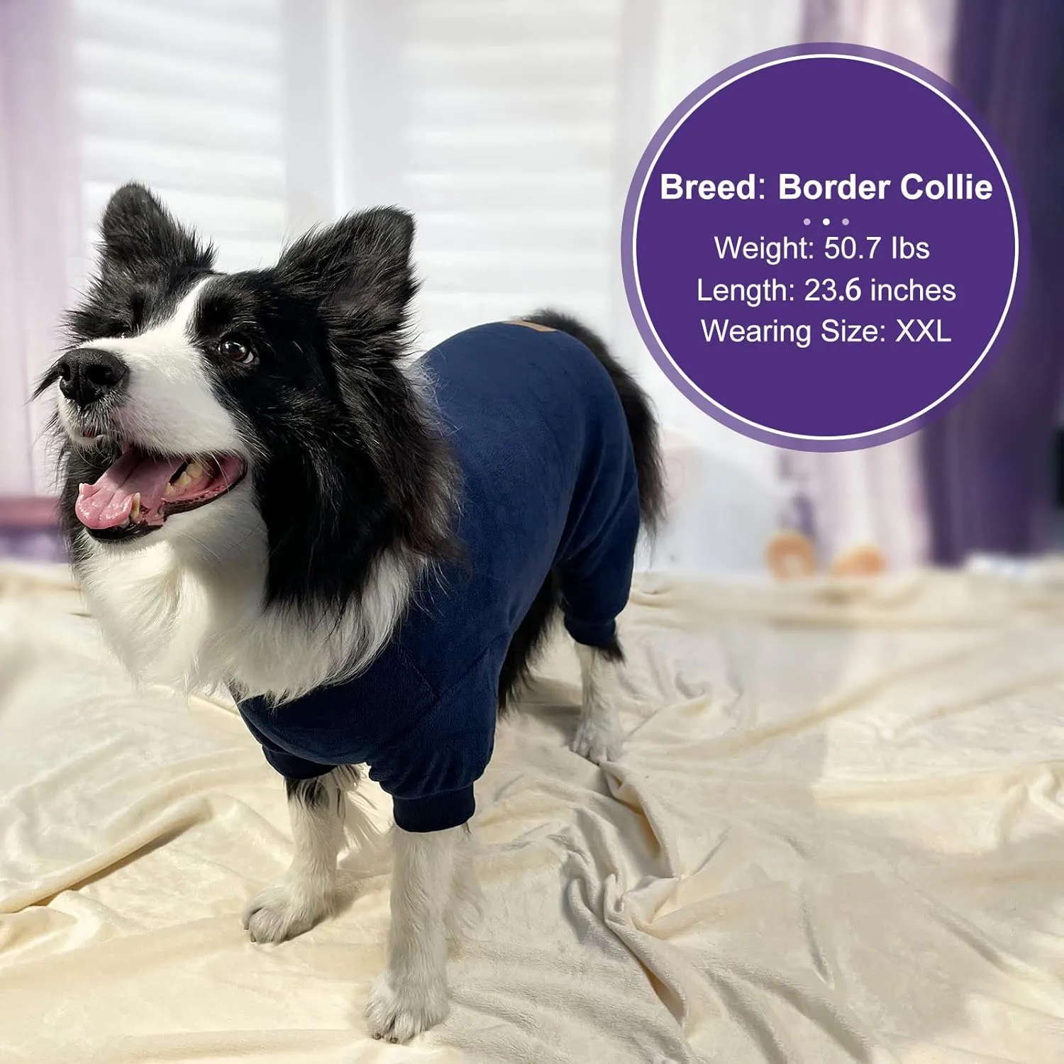 Cyeollo Fleece Dog Onesie Pajamas - Warm & Stretchy Winter Dog Pjs XL, Navy