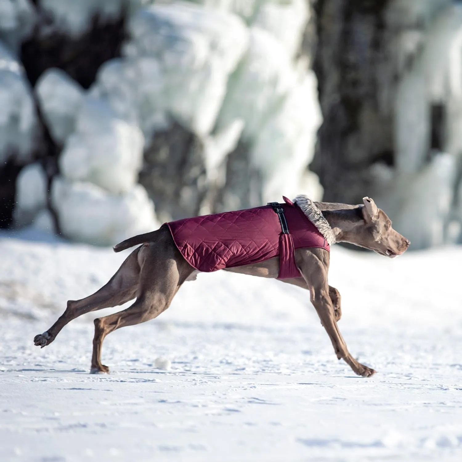 Dog Winter Coat XL, Waterproof Fleece Lined Jacket for Large Dogs, Cold Weather Windproof Dog Puffer Coat with Reflective Strips, Adjustable Fit Leash Hole for Hiking Outdoor Snow Dark Red