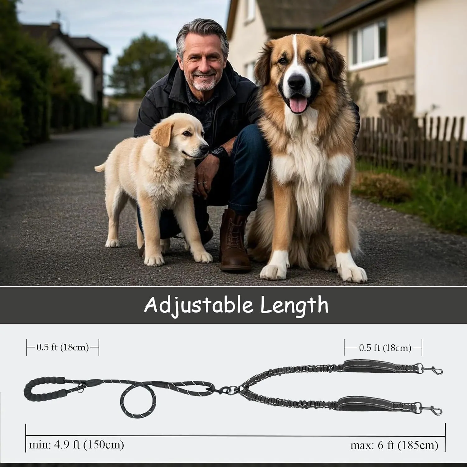 Double Dogs Leash - Removable Main Lead Rope with Splitter, No Tangle 2 Dog Coupler, Reflective No Pull Bungee, 3 Handle, D-Ring, Extra Long for Walk Train Medium Large Two Pet (Black)