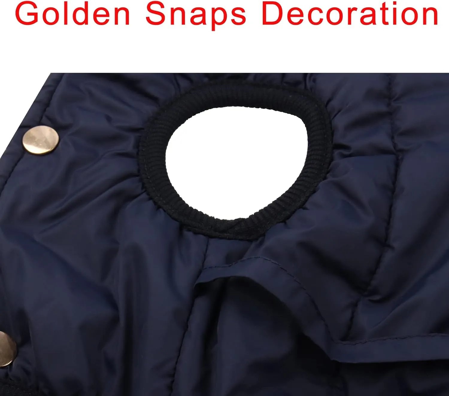 Fleece Lined Warm Dog Jacket for Winter Cold Weather,Soft Windproof Medium Dog Coat,Blue L
