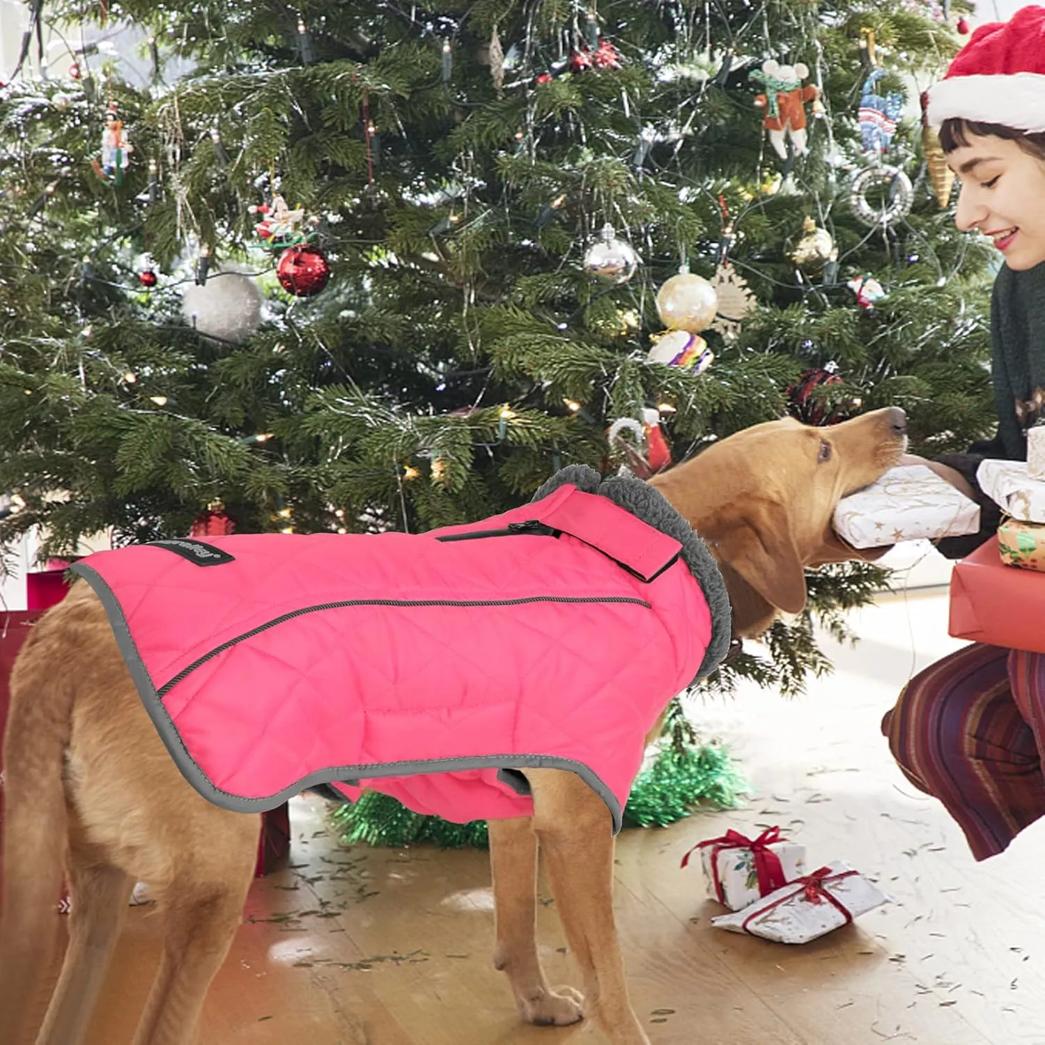 Fragralley Winter Coat - Windproof, Adjustable, Waterproof Dog Jacket with Turtleneck and Fleece for Cold Weather