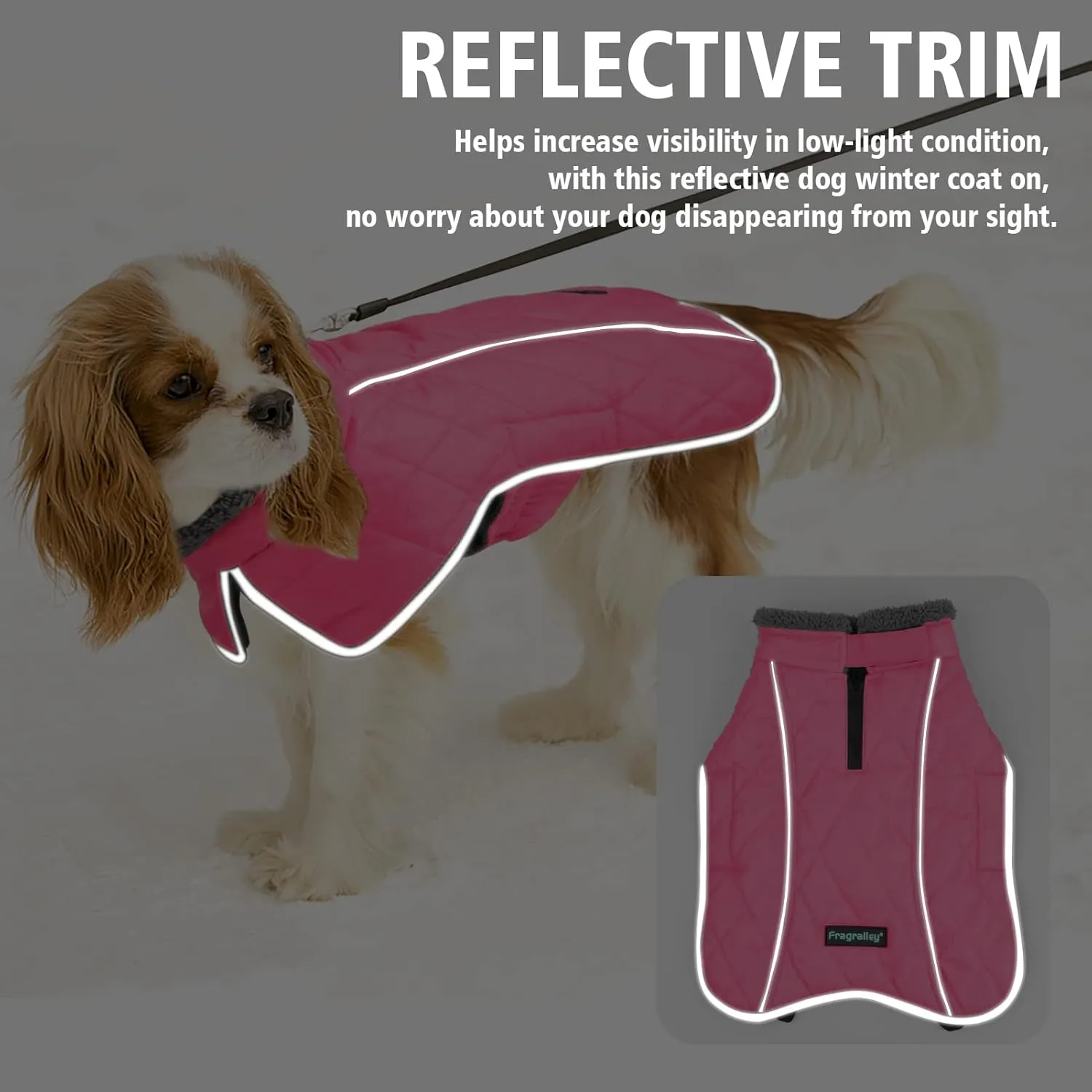 Fragralley Winter Coat - Windproof, Adjustable, Waterproof Dog Jacket with Turtleneck and Fleece for Cold Weather