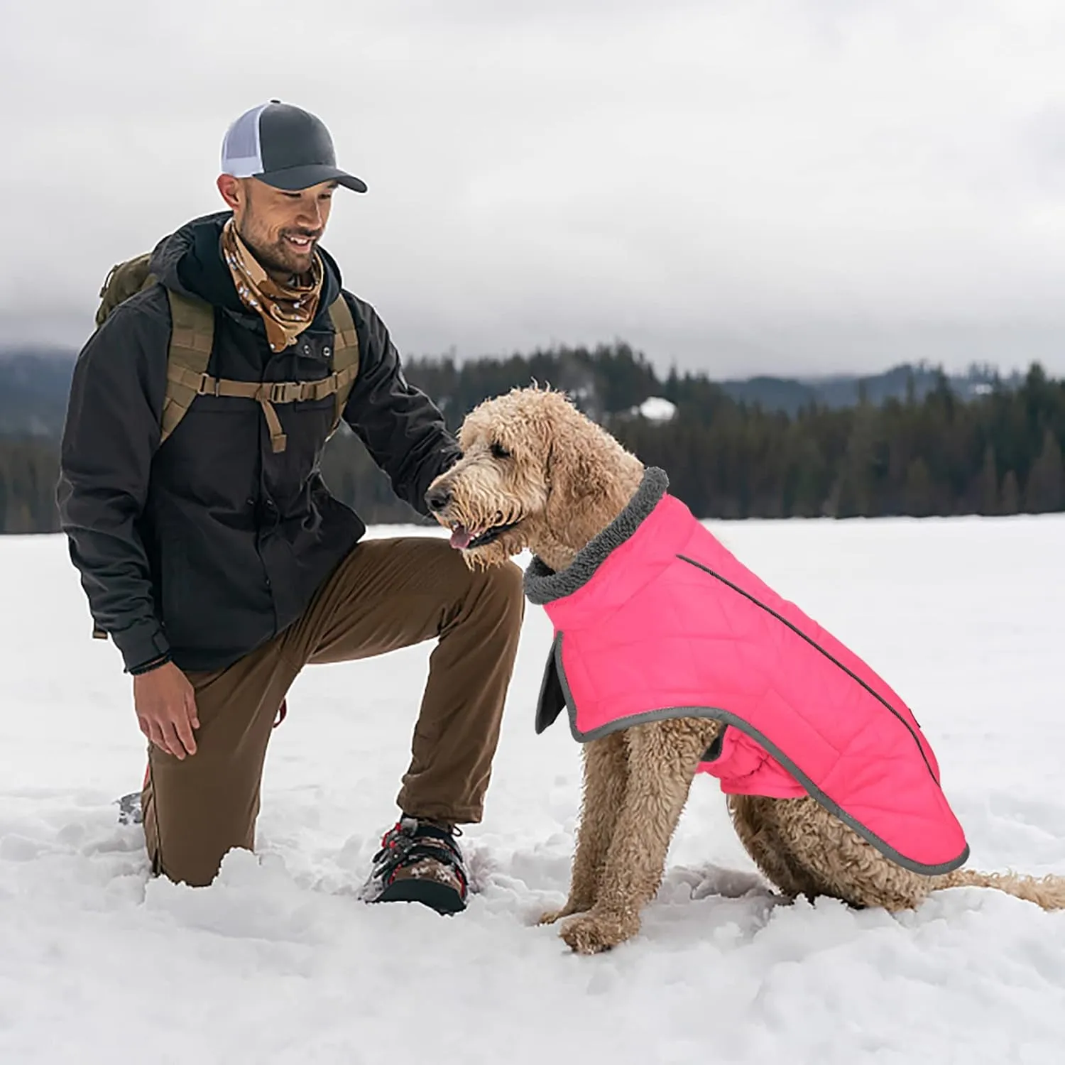 Fragralley Winter Coat - Windproof, Adjustable, Waterproof Dog Jacket with Turtleneck and Fleece for Cold Weather