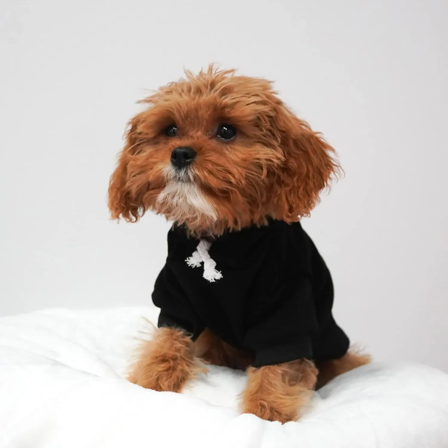 Free Kisses Dog Hoodie Fleece Lined Pullover Sweatshirt with Leash Hole (Green, X-Small 727)
