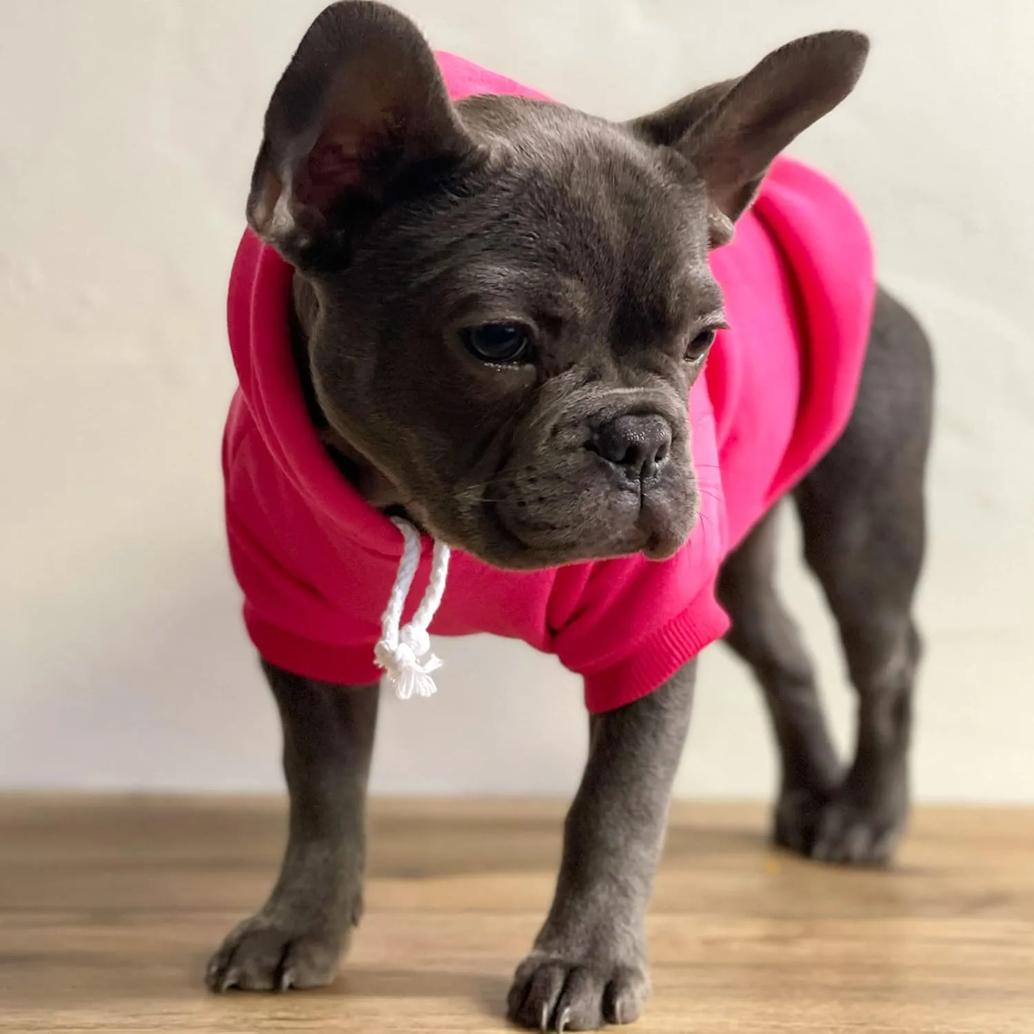 Free Kisses Dog Hoodie Fleece Lined Pullover Sweatshirt with Leash Hole (Green, X-Small 727)