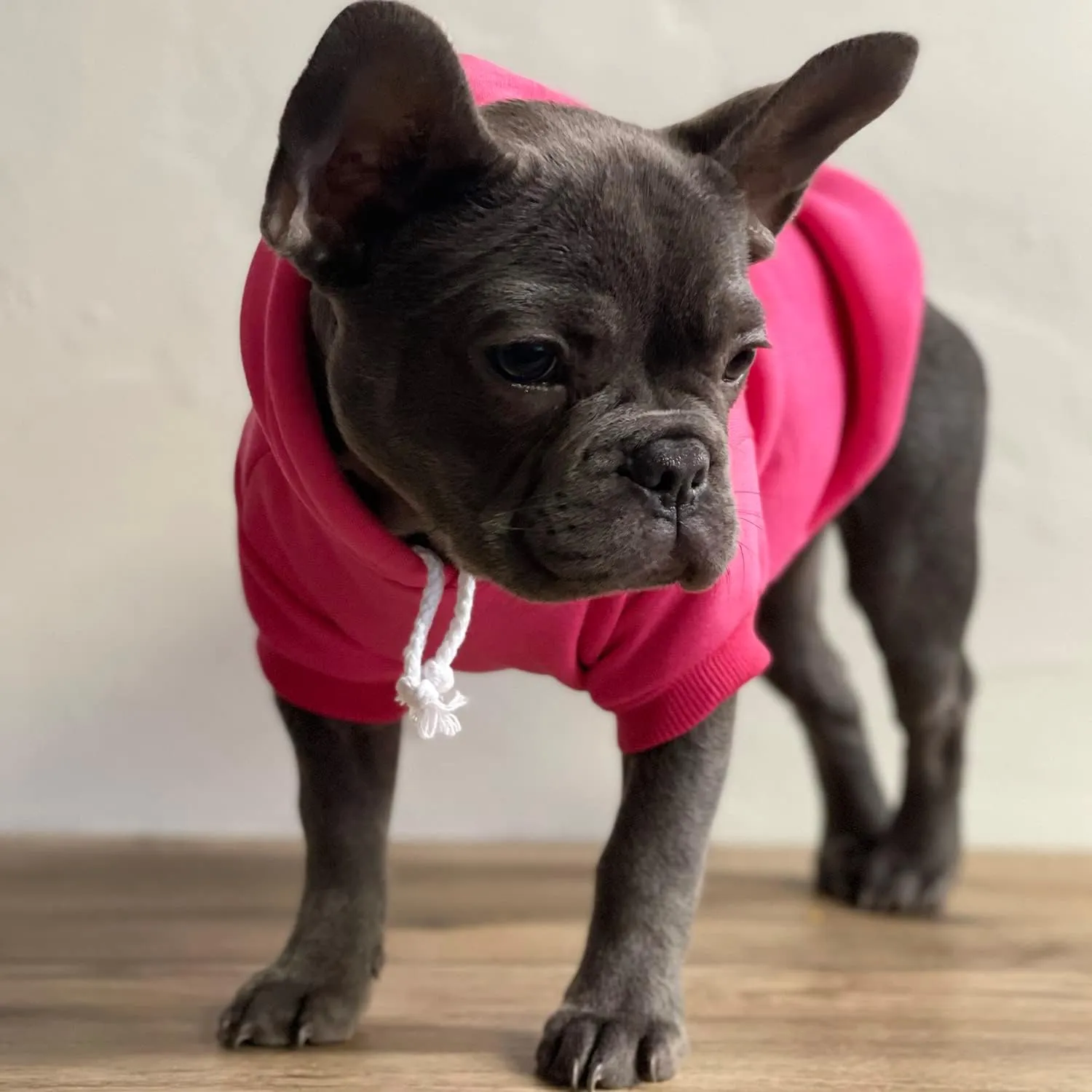 I Need My Space Anxiety Support Pullover Fleece Lined Dog Hoodie (Royal L, 118)