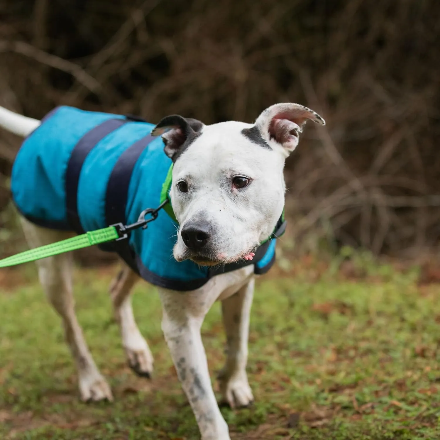 Jeffers Breathe Comfort Ripstop Dog Blanket, Teal/Navy Blue, 20" Medium - Waterproof, Windproof, Breathable, Durable - Ideal for Outdoor, Indoor, Travel, Machine Washable Insulation