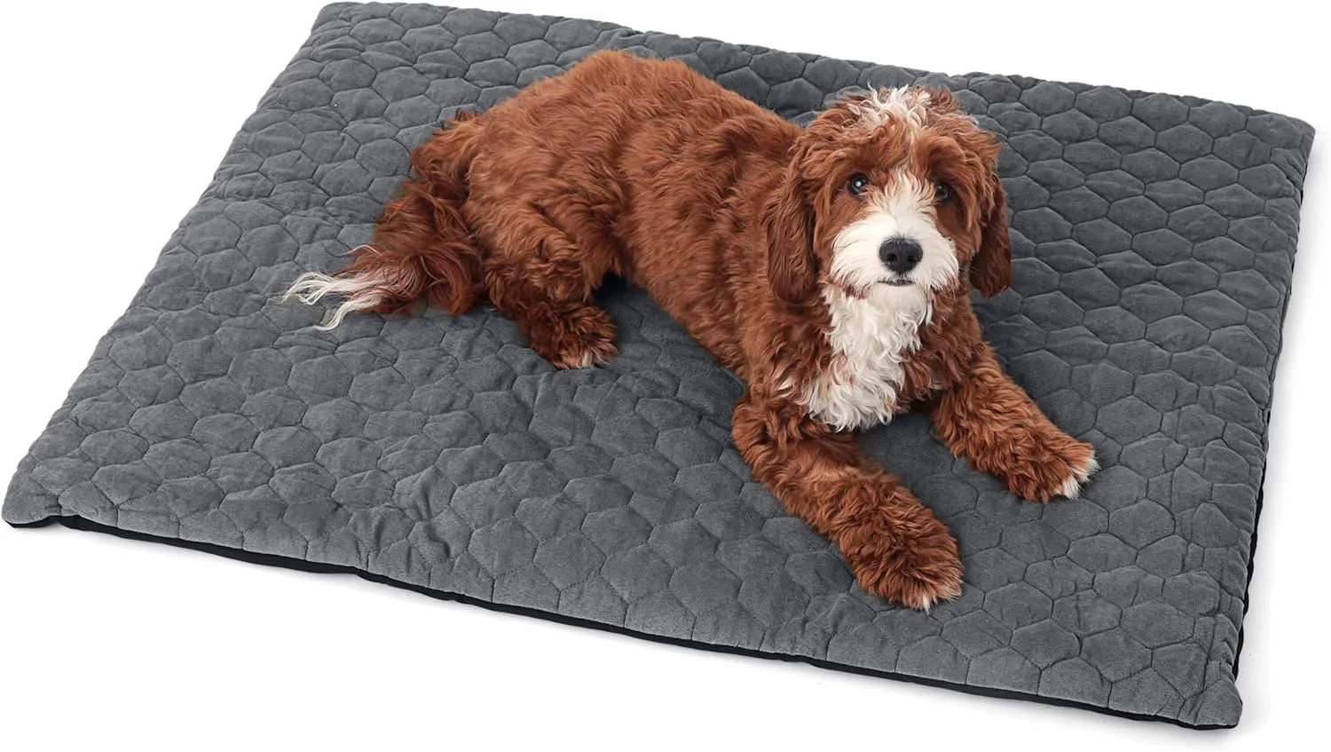 Meadowlark Outdoor Dog Bed 36x28in - Portable, Lightweight Travel Bed for Small & Medium Dogs  Waterproof, Non-Slip, Soft Micro-Suede, Machine Washable with Carry Bag for Hiking, Camping & Adventures