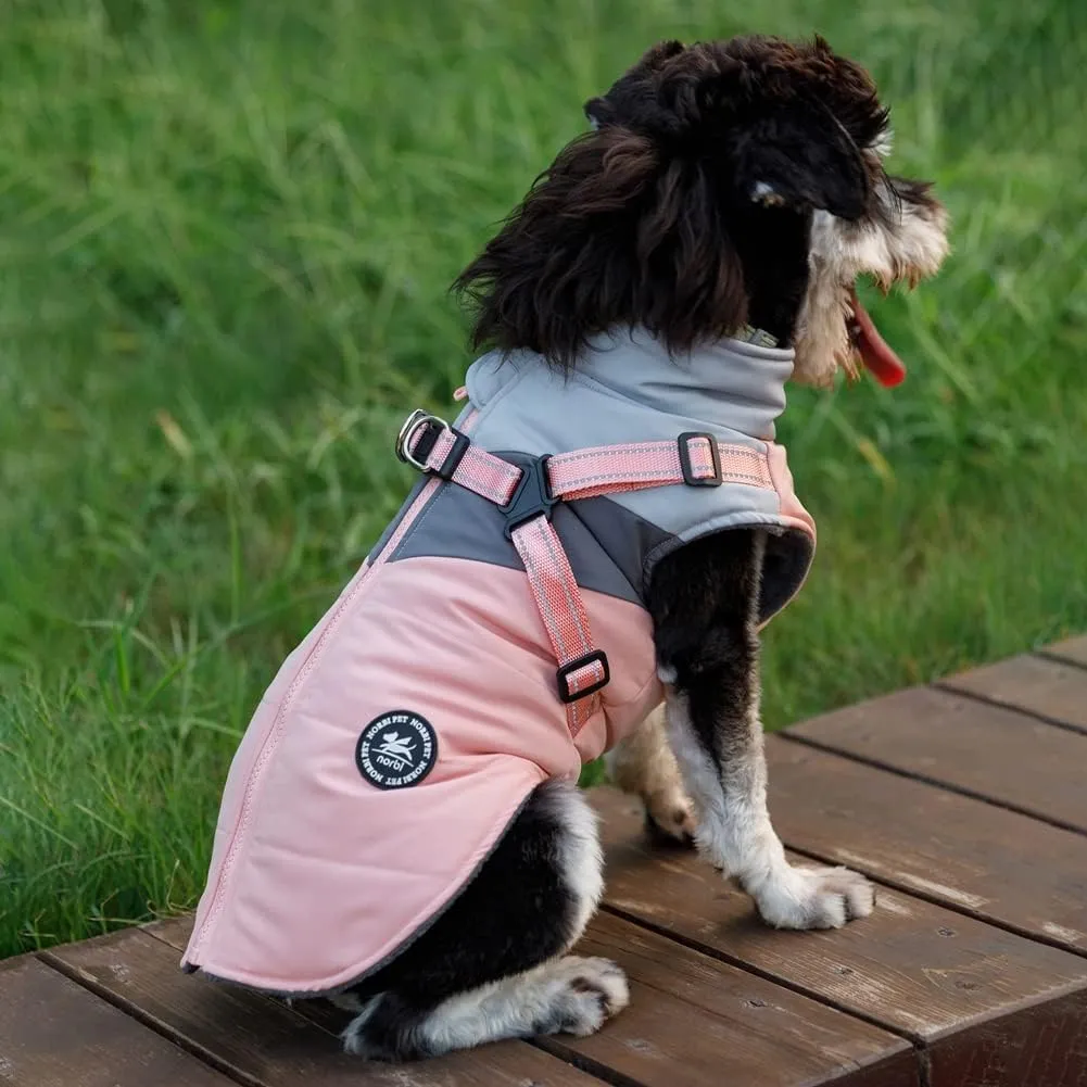 Norbi Small Dog Winter Jacket with Harness - 2 in 1 Puppy Coat