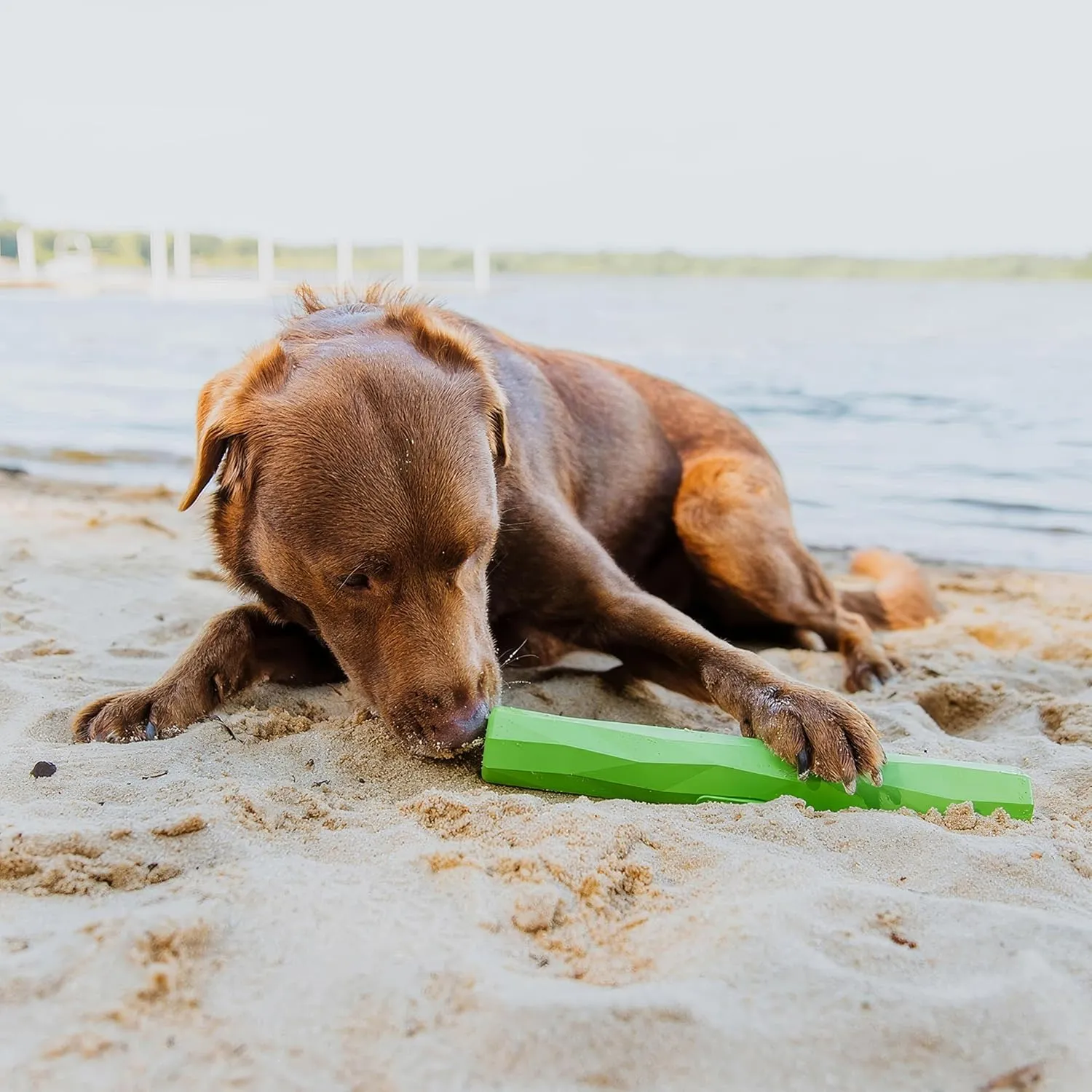 Playology Hound2O Outdoor Dog Toys | Treater Toy Fetch Stick for Dogs | Bright Green Toy Chew Stick | Easy to Clean, & Made from Non-Toxic Rubber Materials