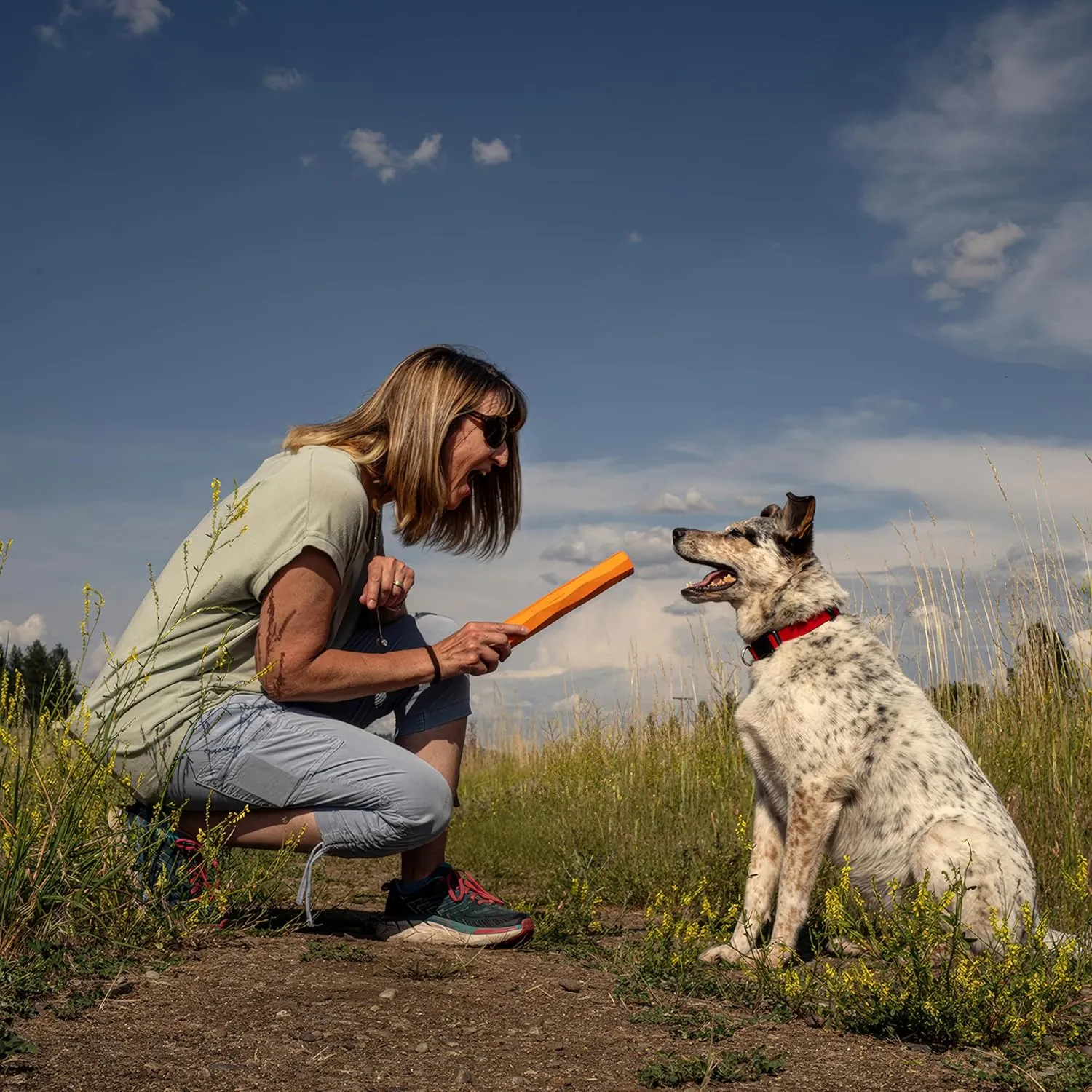 Playology Hound2O Outdoor Dog Toys | Treater Toy Fetch Stick for Dogs | Bright Orange Durable Toy Chew Stick | Easy to Clean & Made from Non-Toxic Materials