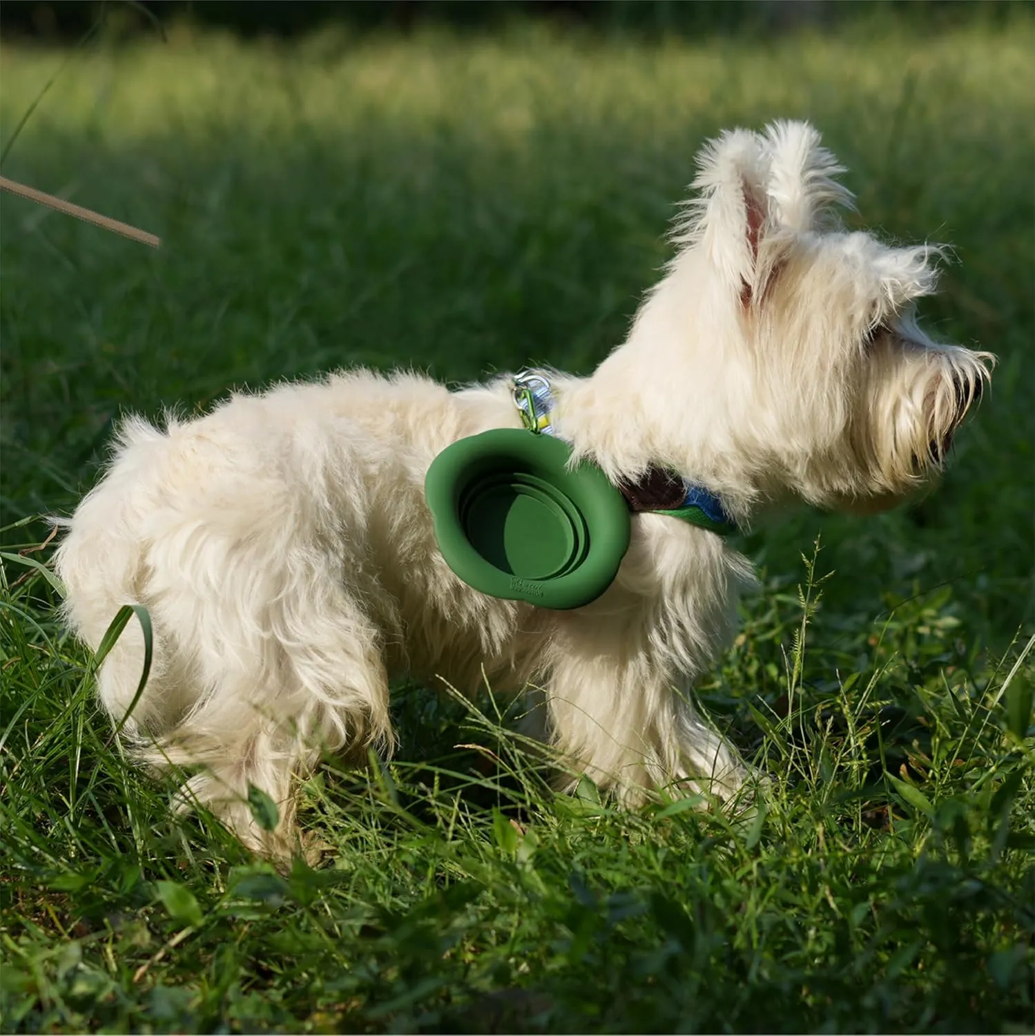 Silicone Collapsible Dog Bowls, Free Dishwasher Safe, Portable Foldable Expandable Travel Bowl, Food Water Feeding Cup Dish for Dogs Cats (Green, M)