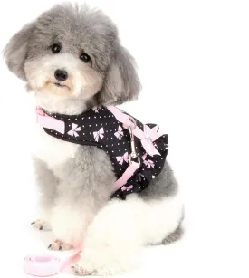 SMALLLEE_LUCKY_STORE Bows Dots Print Cat and Small Dog Harness Dress with Leash for Girls Adjustable No Pull Escape Proof Soft Walking Jacket Waterproof Puppies Kitten Harness Vest Outdoor,Black XS