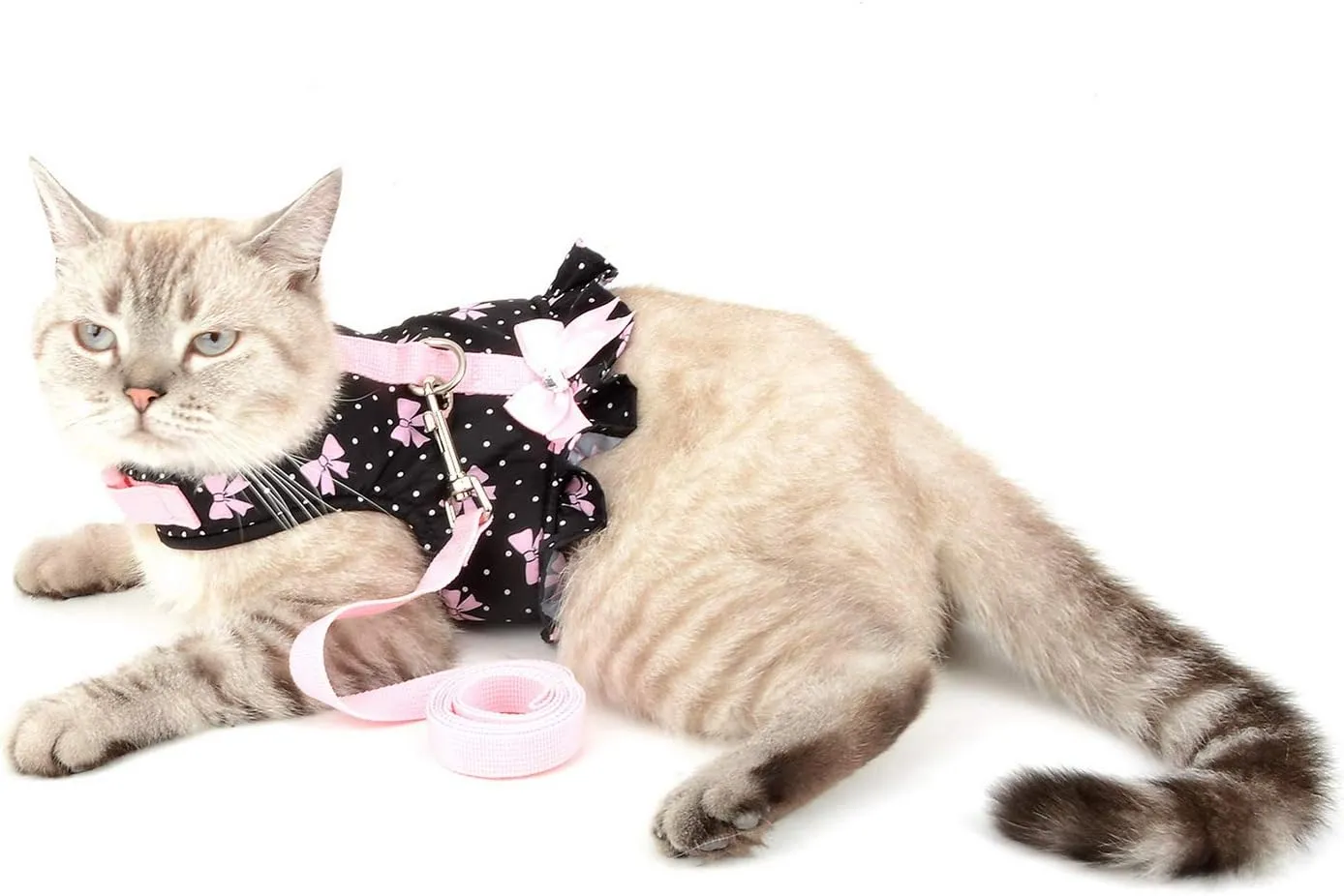SMALLLEE_LUCKY_STORE Bows Dots Print Cat and Small Dog Harness Dress with Leash for Girls Adjustable No Pull Escape Proof Soft Walking Jacket Waterproof Puppies Kitten Harness Vest Outdoor,Black XS