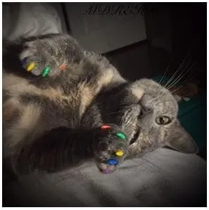 Soft Nail Caps for Cat Claws Gold/Silver Glitter Combo (Medium)