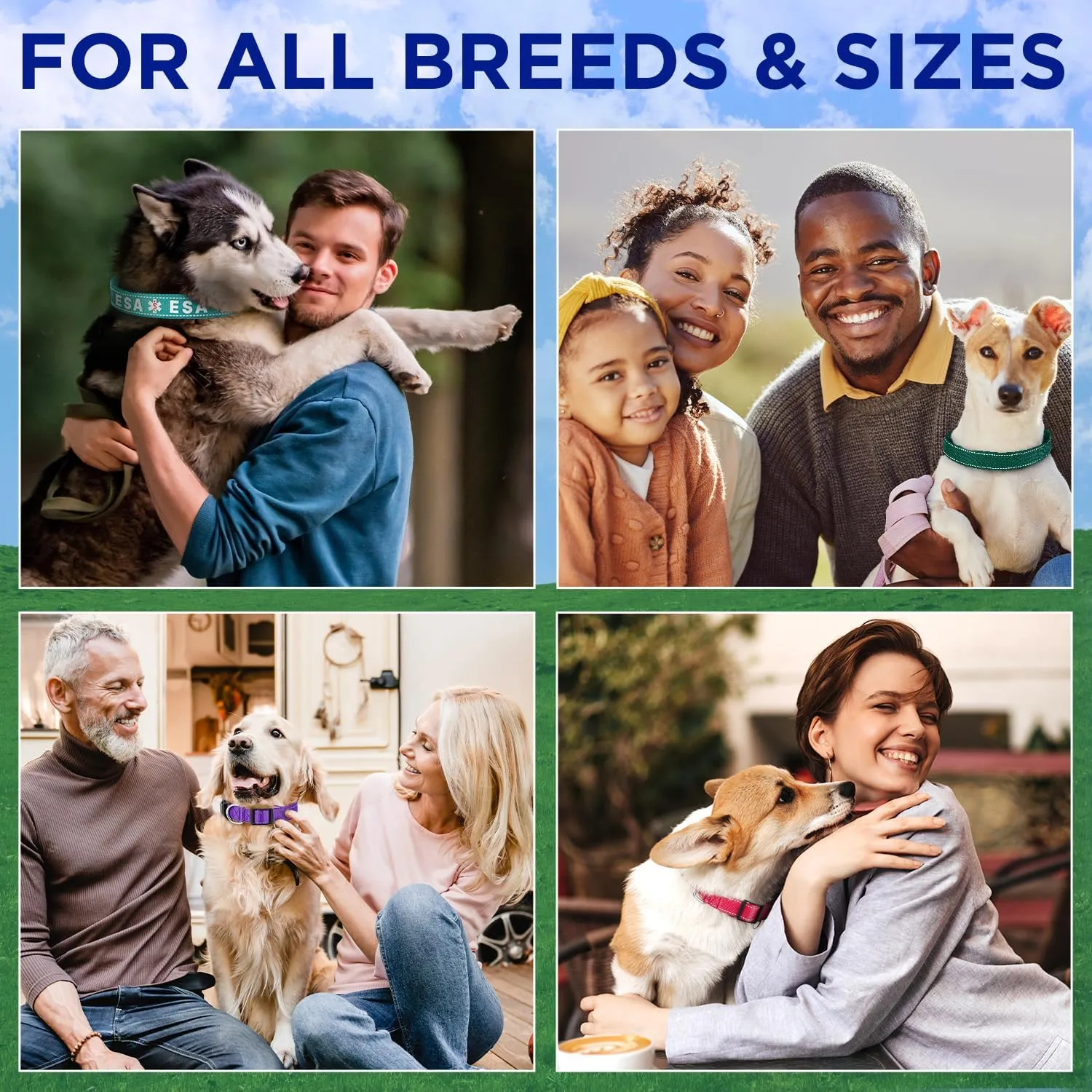 TECEUM Reflective Dog Collar  Lavender  M  Extra Soft Padding  Basic Nylon Pet Collar  Quick Release Buckle  Fits Small, Medium and Large Dogs, Puppies, Cats  ESA & Service Dog Options