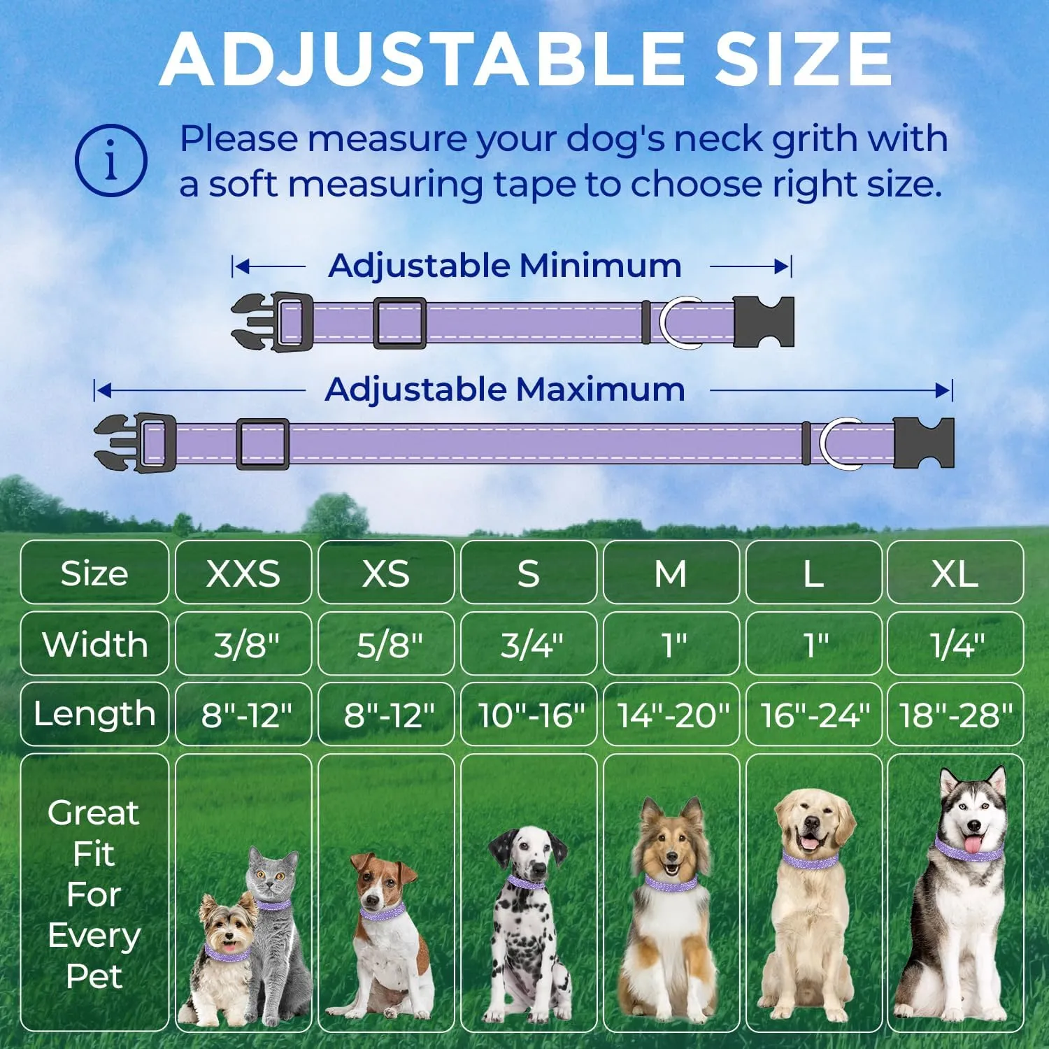 TECEUM Reflective Dog Collar  Lavender  M  Extra Soft Padding  Basic Nylon Pet Collar  Quick Release Buckle  Fits Small, Medium and Large Dogs, Puppies, Cats  ESA & Service Dog Options