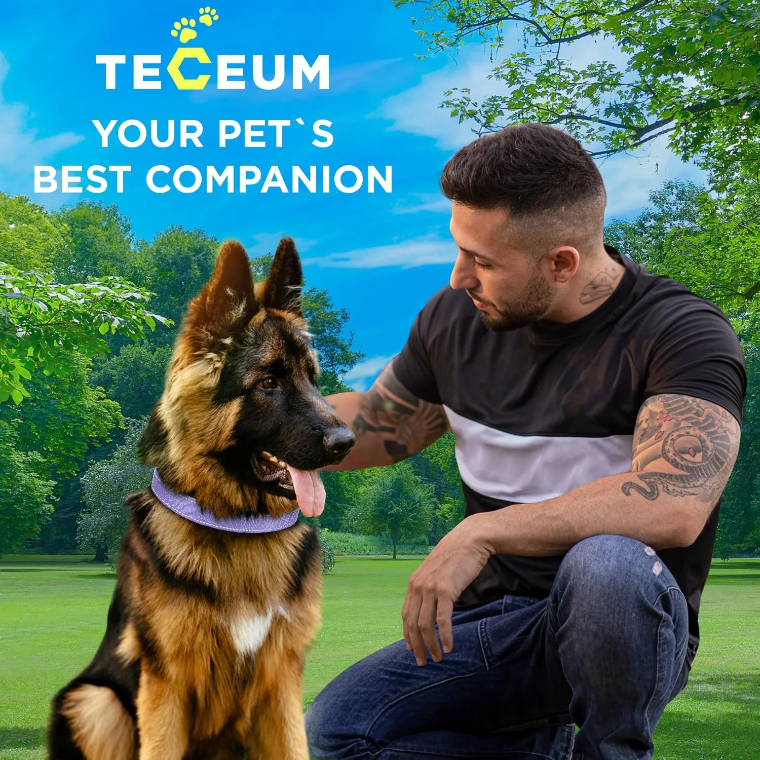 TECEUM Reflective Dog Collar  Lavender  M  Extra Soft Padding  Basic Nylon Pet Collar  Quick Release Buckle  Fits Small, Medium and Large Dogs, Puppies, Cats  ESA & Service Dog Options