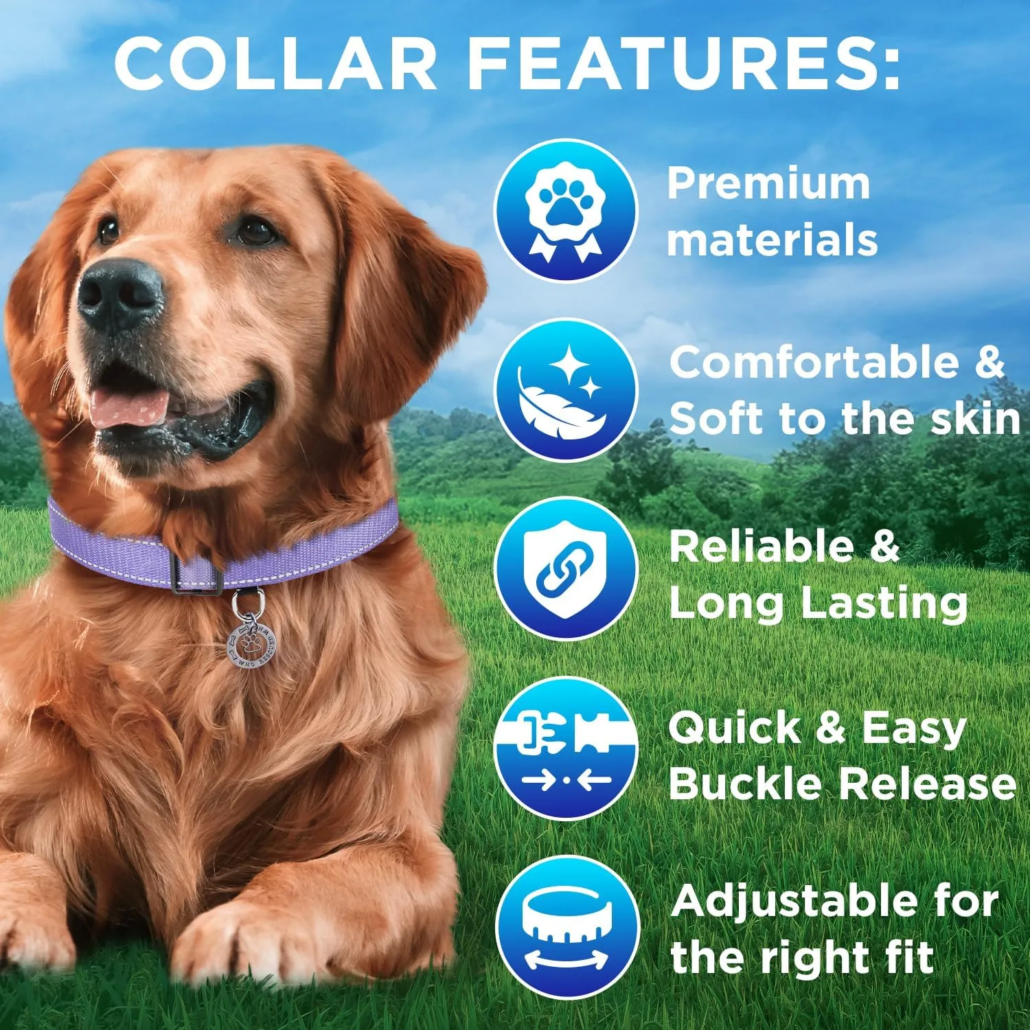 TECEUM Reflective Dog Collar  Lavender  M  Extra Soft Padding  Basic Nylon Pet Collar  Quick Release Buckle  Fits Small, Medium and Large Dogs, Puppies, Cats  ESA & Service Dog Options