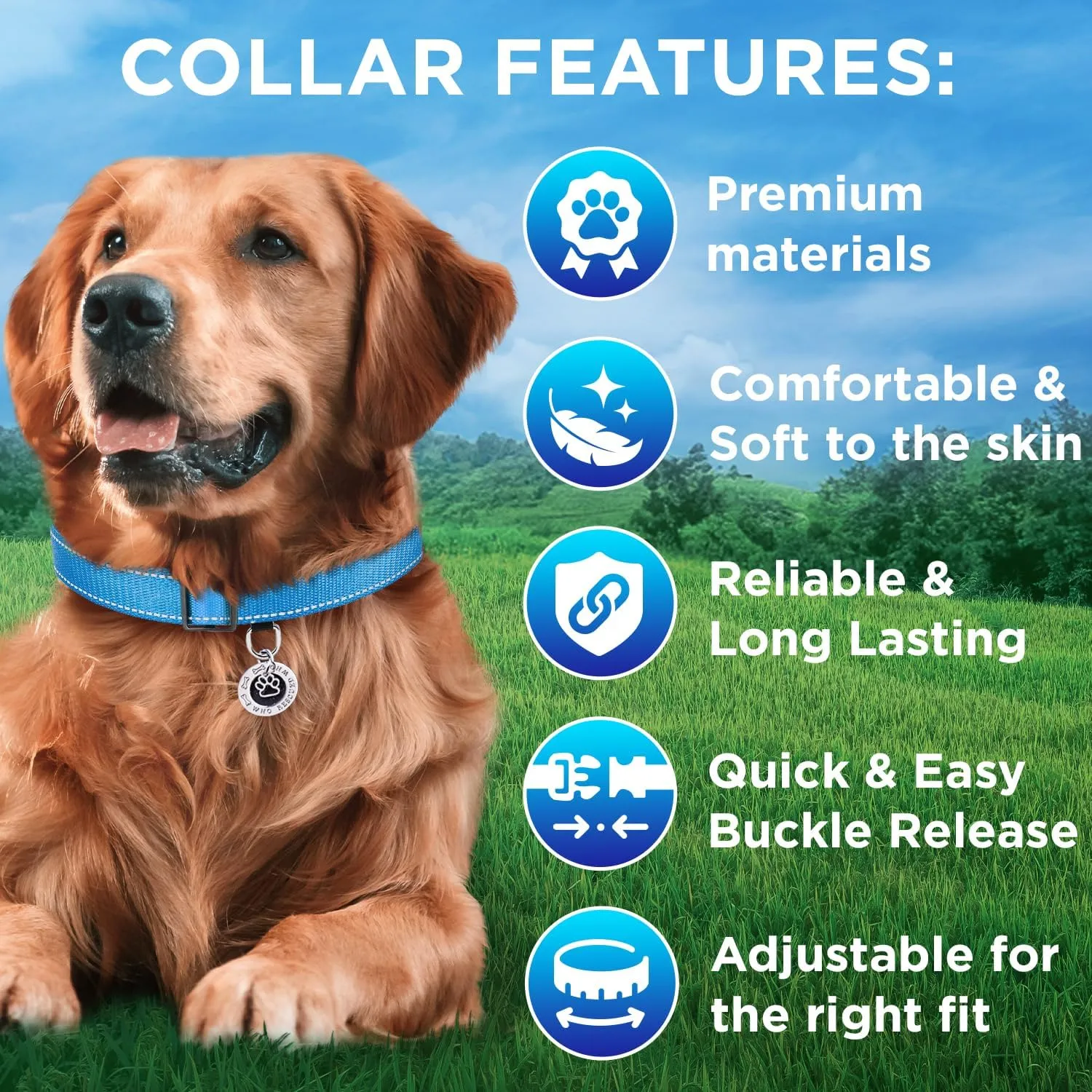 TECEUM Reflective Dog Collar  Sky Blue  M  Basic Nylon Pet Collar  Quick Release Buckle  Fits Small, Medium and Large Dogs, Puppies, Cats  ESA & Service Dog Options
