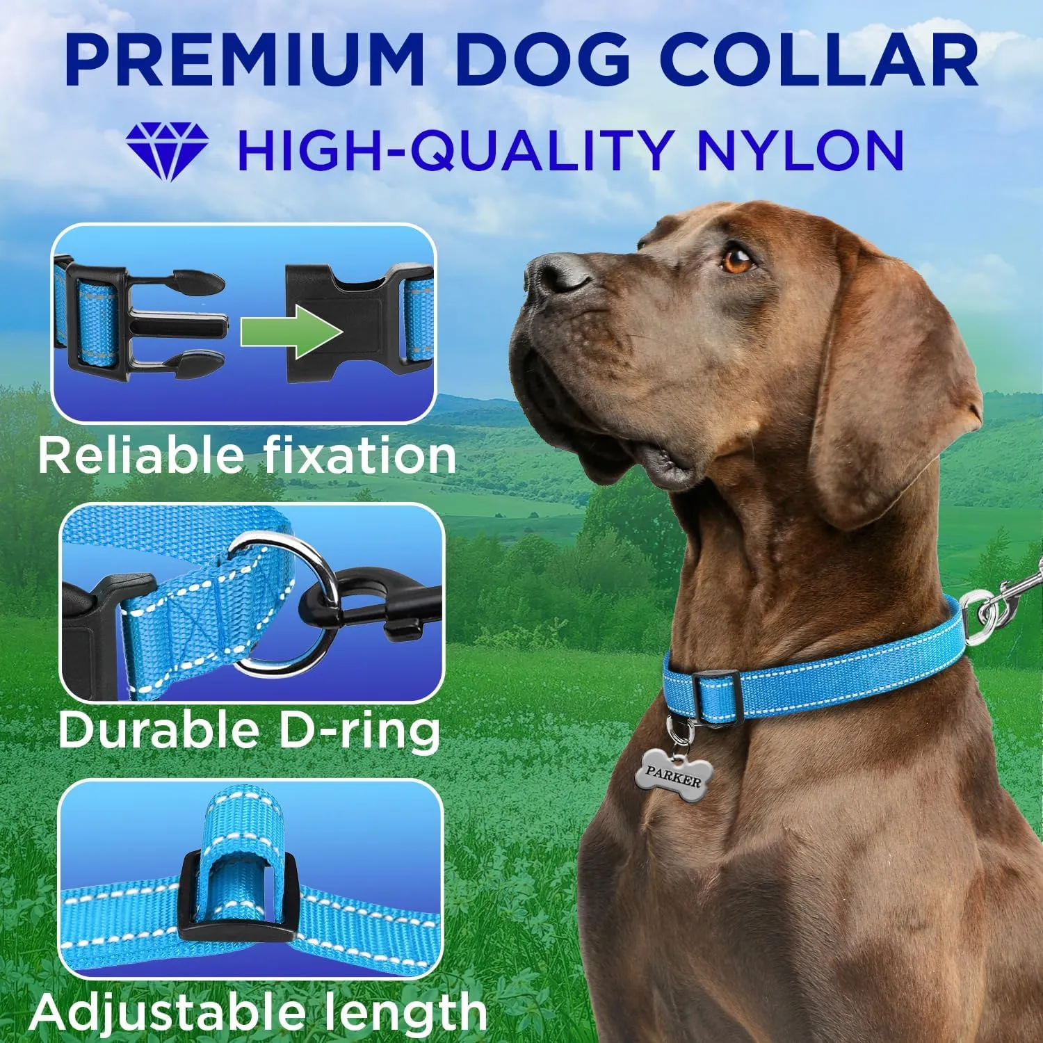 TECEUM Reflective Dog Collar  Sky Blue  M  Basic Nylon Pet Collar  Quick Release Buckle  Fits Small, Medium and Large Dogs, Puppies, Cats  ESA & Service Dog Options