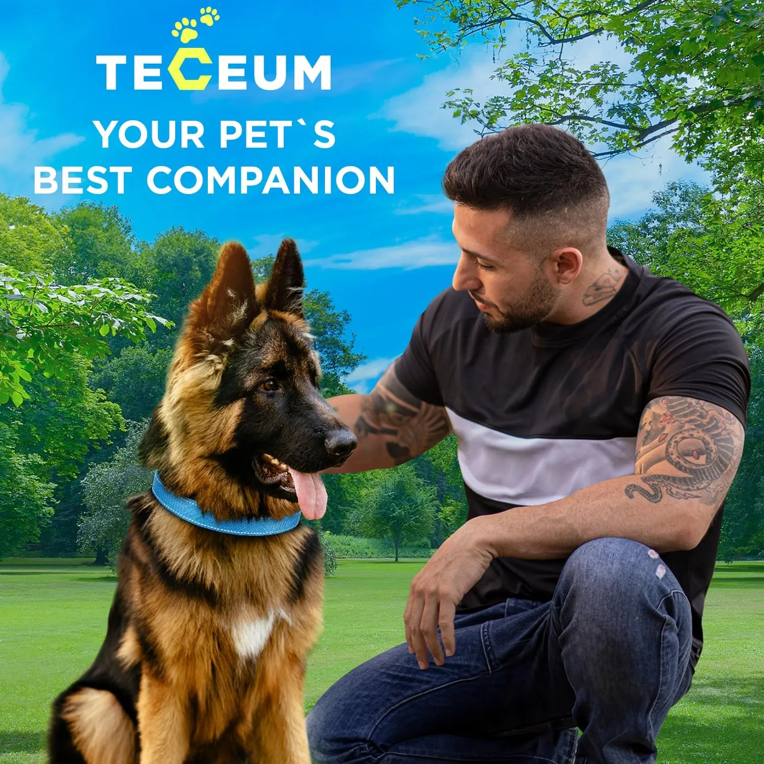 TECEUM Reflective Dog Collar  Sky Blue  M  Basic Nylon Pet Collar  Quick Release Buckle  Fits Small, Medium and Large Dogs, Puppies, Cats  ESA & Service Dog Options