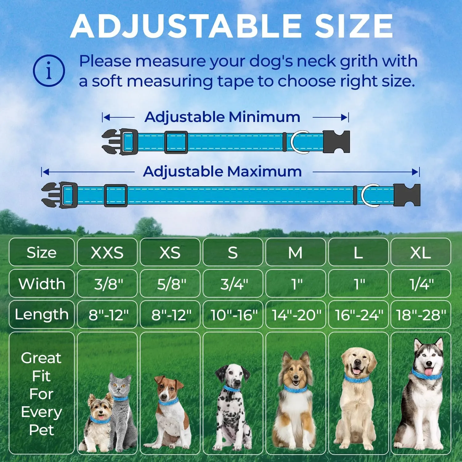 TECEUM Reflective Dog Collar  Sky Blue  M  Basic Nylon Pet Collar  Quick Release Buckle  Fits Small, Medium and Large Dogs, Puppies, Cats  ESA & Service Dog Options