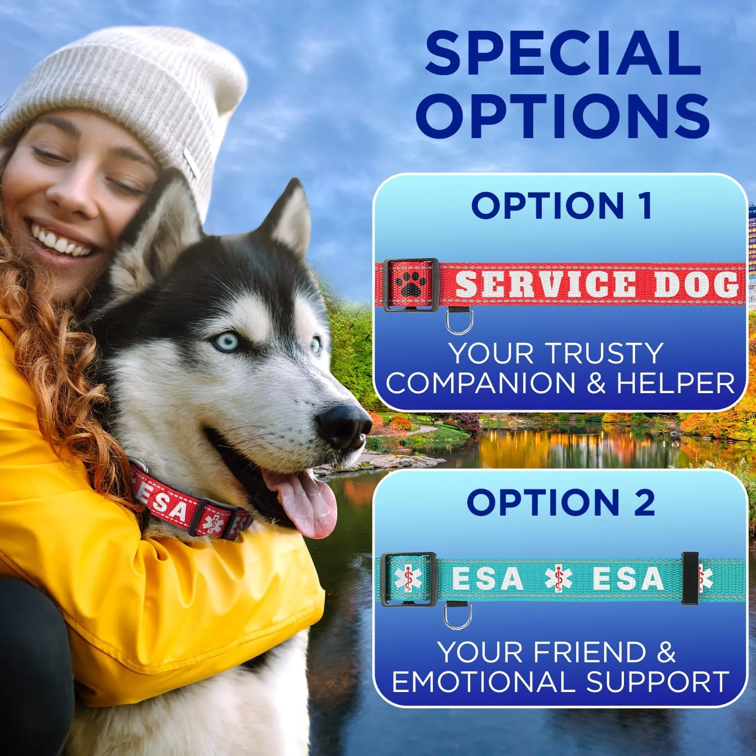TECEUM Reflective Dog Collar  Sky Blue  M  Basic Nylon Pet Collar  Quick Release Buckle  Fits Small, Medium and Large Dogs, Puppies, Cats  ESA & Service Dog Options